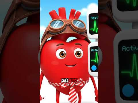 What Happens To Your Organs In The Water? | The Organ Story