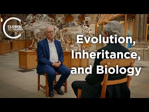 Richard Dawkins - Evolution, Inheritance, and Biology