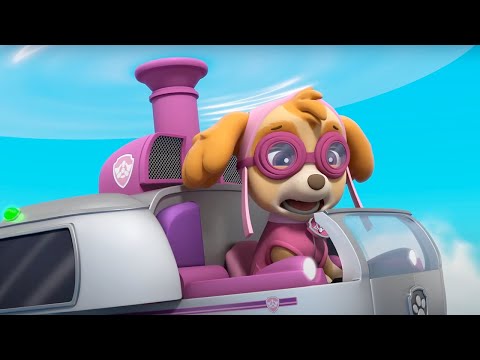 Paw Patrol - Sky Shark! | WildBrain Zoo | Cartoons for Kids
