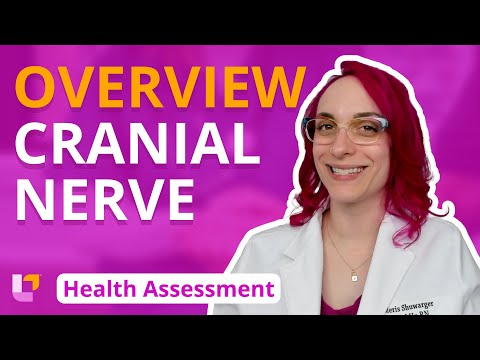 Cranial Nerve Overview - Health Assessment for Nursing Students | @LevelUpRN