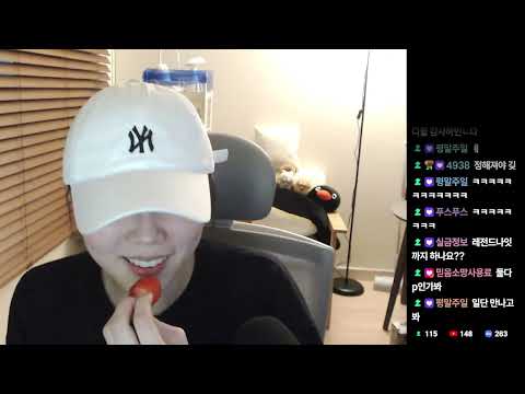 『2025/12/20』딸기 500g 대학살, 랜덤 공포썰 읽기, 이삭 토스트(에그 토스트) 먹방, 로블록스 공겜 '무서운 슈와마 키오스크', 수다 애옹