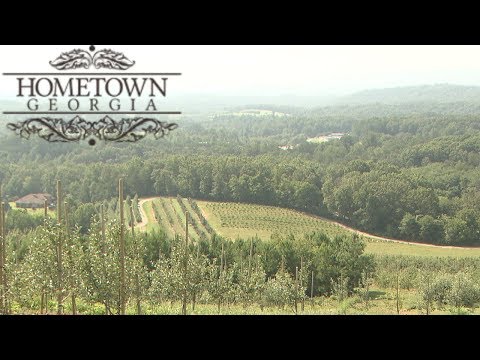 Blue Ridge | Hometown Georgia