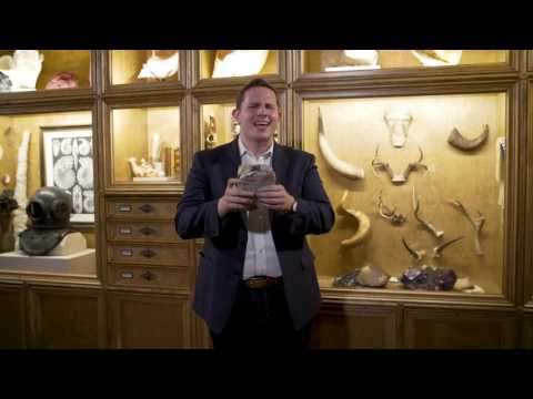 HMNS Magician Ben Jackson - DINO Ad