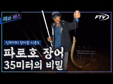 [Full/Quick Service] The Secret 35-Meter Eel Reveals Its Appearance! [Infighter Eel Fisherman Sea...