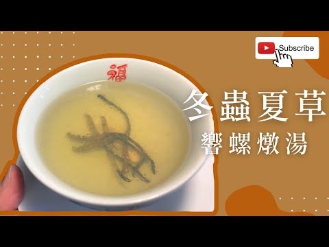 冬蟲夏草 響螺燉湯👍增強免疫力💪