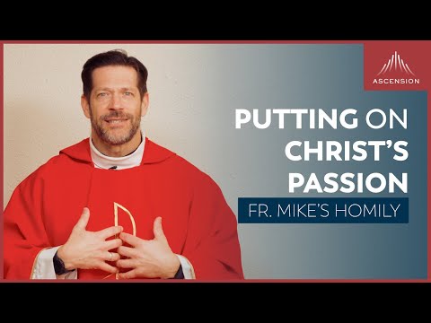 "He Leadeth Me: Enter the Story" | Palm Sunday (Fr. Mike's Homily) #sundayhomily