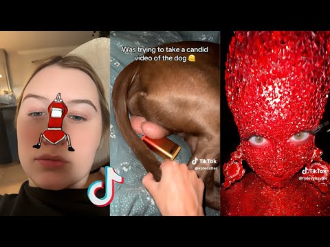 Funny TikToks that Had me Rolling on the Floor! PT.29