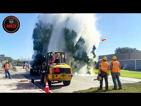 Incredible Moments Caught on Camera You Must See To Believe! | 2025 New Update