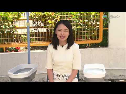 TVB News at 7:30|22 May 2025|HONG KONG English Latest NEWS