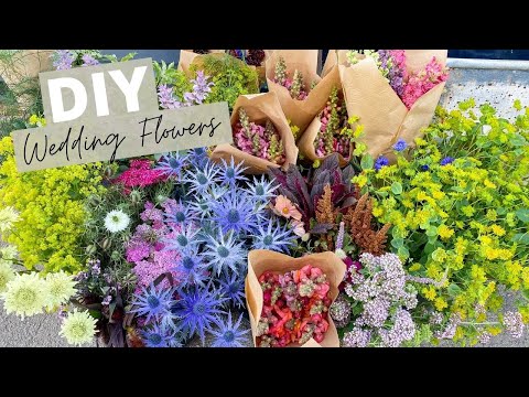 Picking & Discussing Wedding Flowers on the Flower Farm