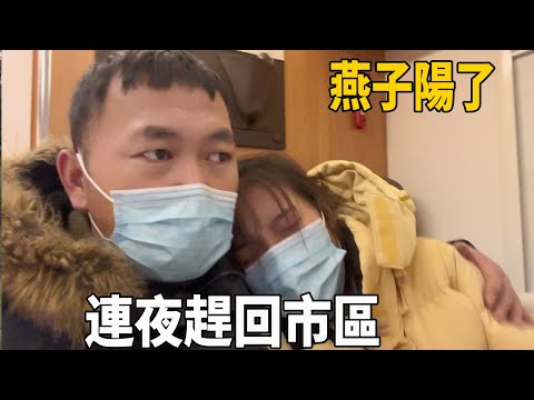 Meet up with friends to go camping in the wild, unexpectedly, Yanzi was recruited,