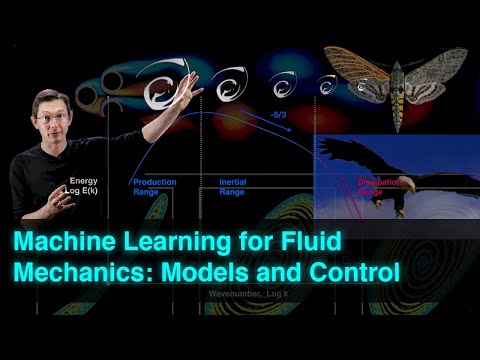 Machine Learning for Fluid Dynamics: Models and Control