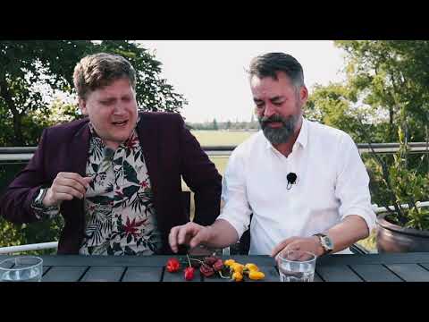 Chili tasting with Danish Comedian Heino Hansen 🔥