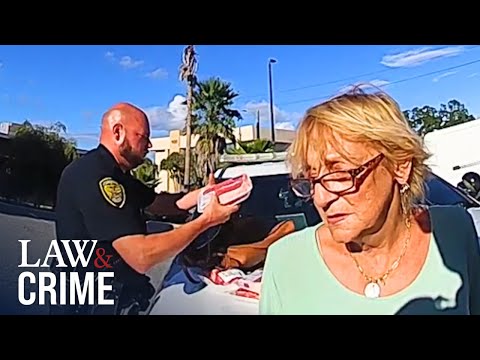 8 Shoplifters Try to Outsmart Police: Caught on Bodycam