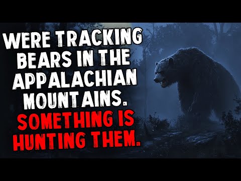 We're Tracking Bears in the Appalachian Mountains. Something Is Hunting Them.