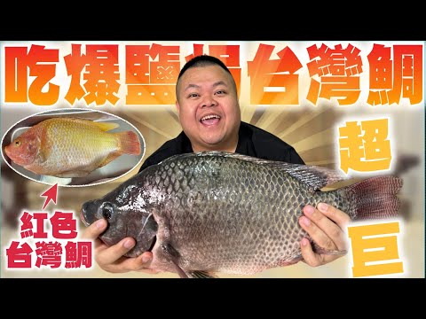 【大蛇丸】吃爆鹽烤台灣鯛越大越好吃！好舒服～