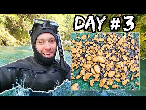 More PILES OF GOLD Discovered While Sniping In New Zealand!