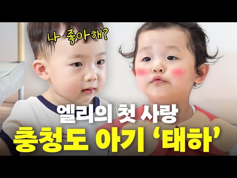 역대급 콜라보! 태하,태리,엘리의 뽀시래기들의 불타는 삼각관계🔥🔥 (태요미네,졸귀)