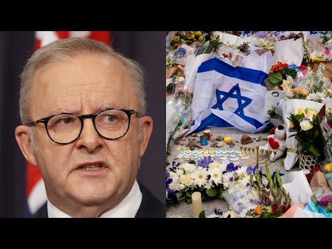'It’s his job': Jewish leader calls for Albanese to ‘take responsibility’