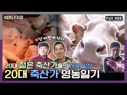 소와 돼지를 키우며 살아가는 20대 축산가들의 하루일상★나의 꿈을 믿는다★ | 특집다큐멘터리 미래의 축산 1부 ‘20대 축산가 전성시대’ (KBS 151220 방송)