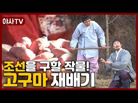 [夜史야사TV] 조선에 들어온 첫 고구마! 좌충우돌 고구마 재배기 | 천일야사