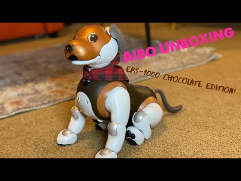 Sony Aibo Unboxing ERS-1000 Chocolate Edition