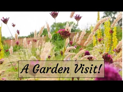 Exploring RHS Garden Bridgewater: A Summer Oasis #9