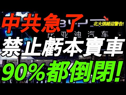 中共急了！禁止亏本卖车，90%新能源汽车要倒闭！北大张维迎：政府不搞砸不罢手！