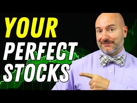 Finding the Perfect Stocks for YOU [Investing for Beginners]