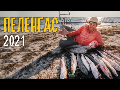 ЛОВЛЯ ПЕЛЕНГАСА 2021. Уловистый монтаж и другие секреты серфовой рыбалки на Азовском море.