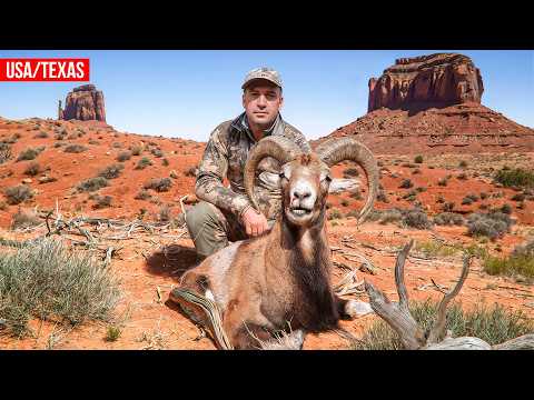 Inside Texas Trophy Hunting – Tracking the Mighty Red Ram 🦂