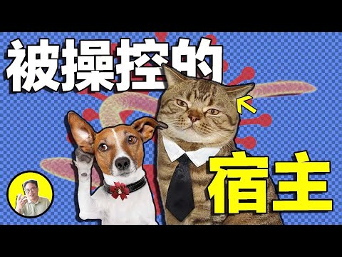 危險操控：灵魂与微生物到底是什么关系？人類可能早已被病毒控制了思想，危险原来早已潜伏在身边......｜總裁聊聊