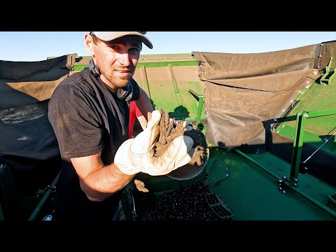 The Mud Is Destroying Our Combines!! Ep. 3