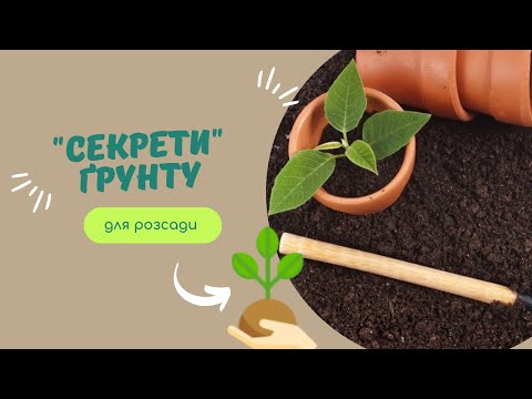 Як підготувати грунт для розсади без зайвого клопоту