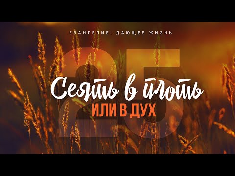 Галатам: 25. Сеять в плоть или в дух (Алексей Коломийцев)