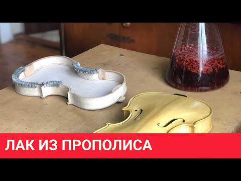 Лак Страдивари из прополиса