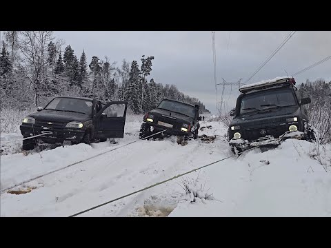 Провожаем старый 2025 год  Сказочная вылазка в лес