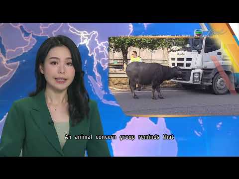 TVB News at 7:30｜18 MAR 2026｜HONG KONG English Latest NEWS｜