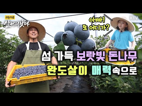 (Jeonnam Wando/Episode 352) Purple Farmer, who fell in love with Wando's charm, "24 hours are not...