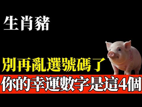 別再亂選號碼了！生肖豬的終極幸運數字是這4個！買彩券、選車牌、挑門號，用上就發！【般若之音】#生肖 #運勢 #風水 #財運#命理