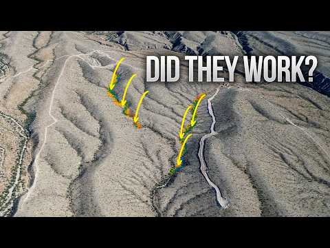 I Built Desert Beaver Dams With a Government Grant: 1 Year Later