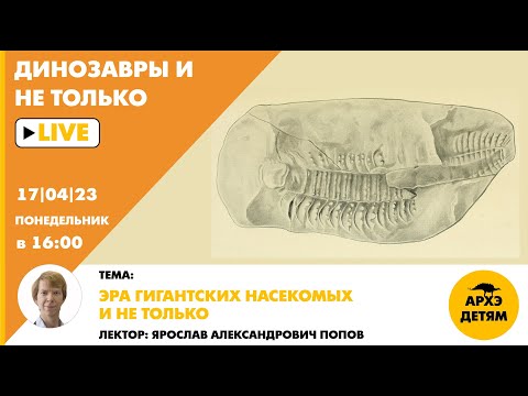 Занятие "Эра гигантских насекомых и не только" кружка "Динозавры и не только" с Ярославом Поповым