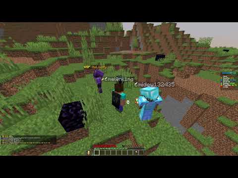 doing donut smp wagers, rating bases and give me money please