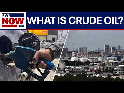 IRAN WAR: Energy economist explains why oil is so important for the global economy