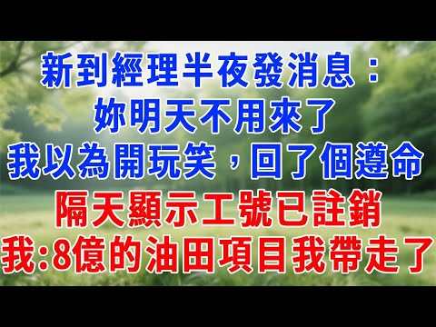 新到經理半夜發消息：妳明天不用來了。我以為開玩笑，回了個「遵命」，隔天顯示工號已註銷，我：8個億的油田項目我帶走了。#人生感悟 #故事分享 #生活經驗 #正能量 #职场 #打脸