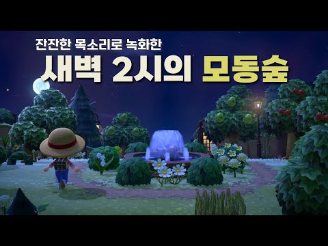 잠들기 전 최고의 선택🌙새벽 2시의 모동숲 잔잔한 일상 플레이 + 섬 투어