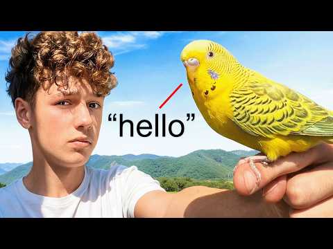 I Taught a Parrot to Talk With NO Experience