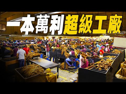 走進世界最賺錢的超級工廠（特輯），香菸和雪茄是如何製作的？香菸加可樂詮釋了真正一本萬利的生意  #大脑洞记事