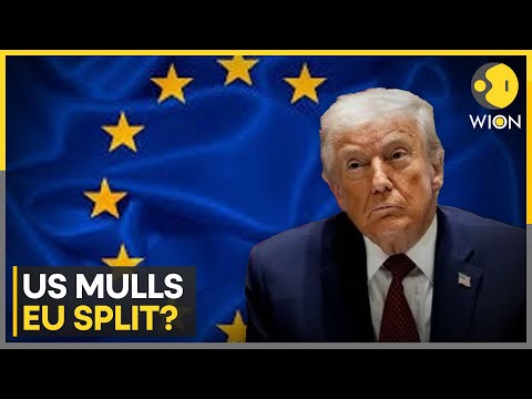 US Strategy Hints at Weaning Four Countries Away From EU, Alleged Document Reveals | WION