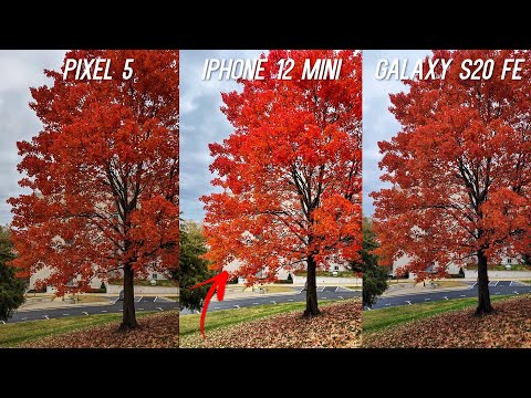 iPhone 12 Mini vs Pixel 5 vs Galaxy S20 FE Camera Comparison Test